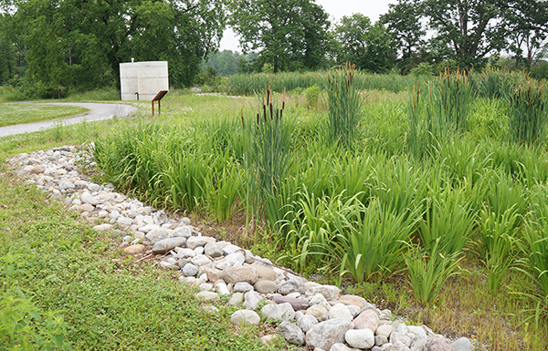 Constructed wetlands