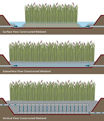 Treatment Wetlands Second Edition