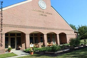 A public library takes part in the challenge