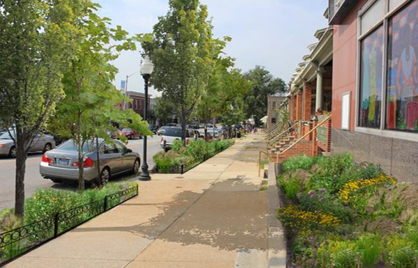 Photosimulation of stormwater tree pits and a rain garden on Belair Road