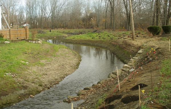 Immediately after restoration and planting