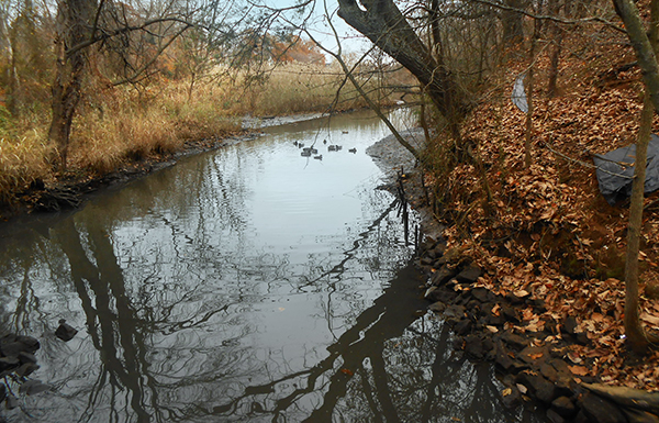 Initial conditions
