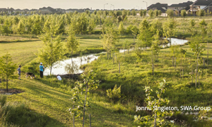 Flewellen Creek Restoration