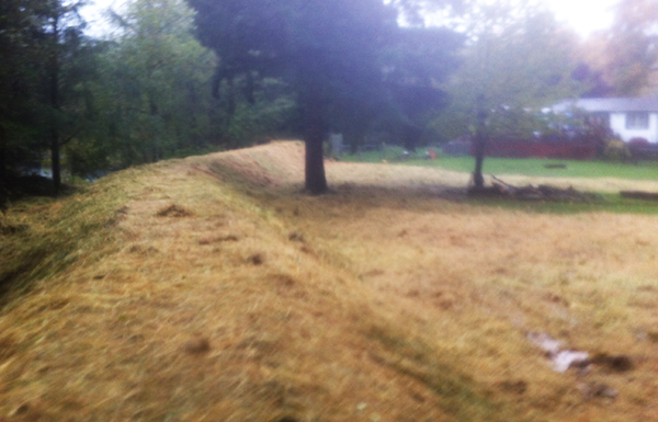 Immediately after the levee was completed