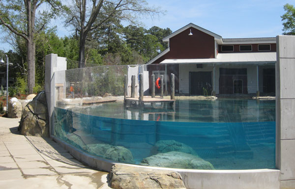 State-of-the-art sea lion exhibit with underwater viewing wall
