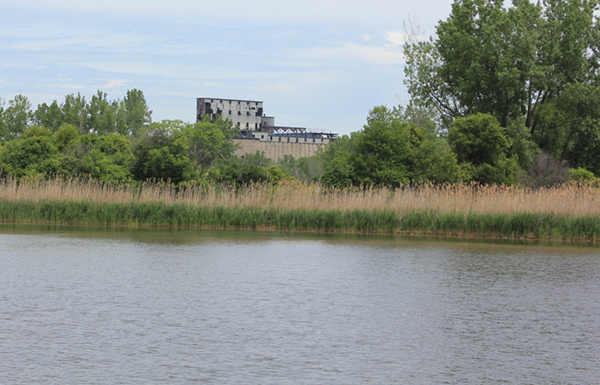 South Buffalo Brownfield Opportunity Area (BOA)