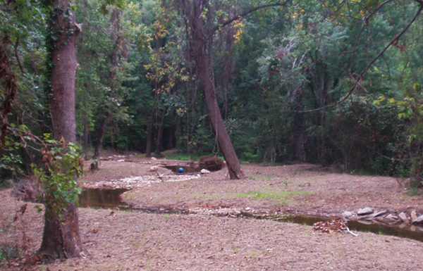 Immediately after restoration―meandering stream connected to floodplain