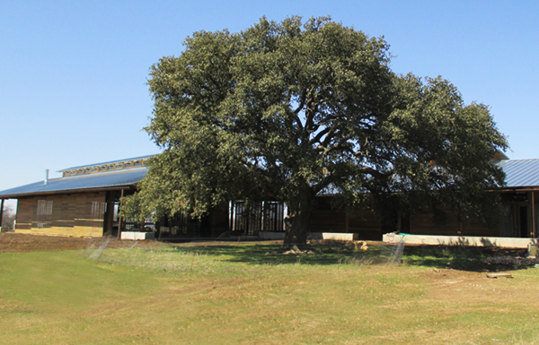 Josey Pavilion