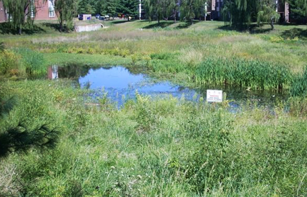Stormwater pond
