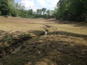 Pre-restoration, just after pond was drained