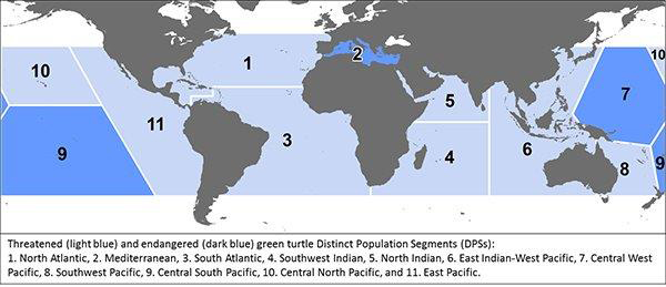 Courtesy of NOAA