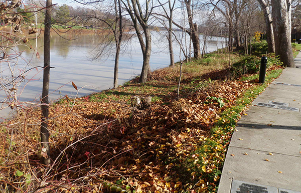 Narrow existing riparian corridor