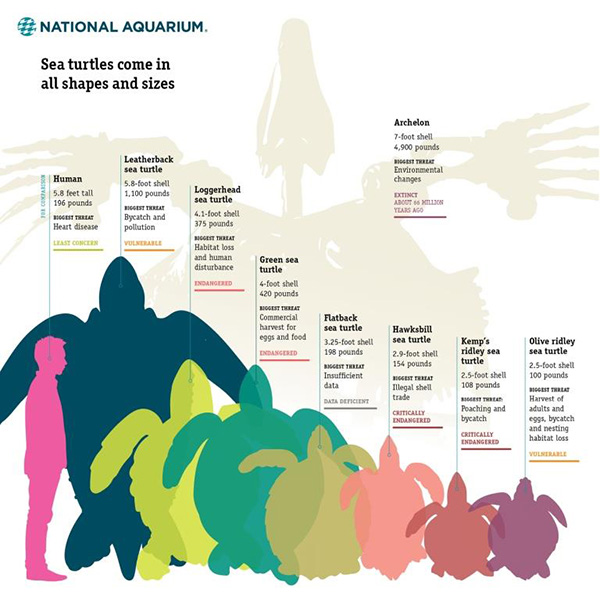 ©National Aquarium