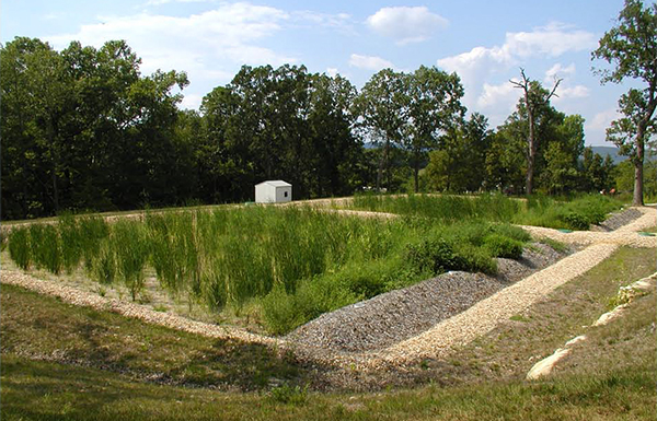 Onsite wastewater treatment wetland system