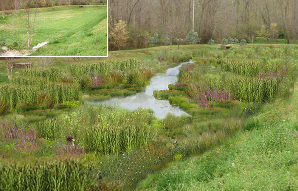 Photosimulation of vegetated wetland with inset of existing drypond