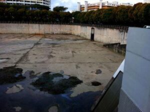Rainwater harvesting basin in Singapore ©David Sedlak