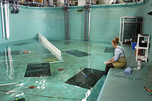 Amber White watches Beachcomber swim in the therapy pool