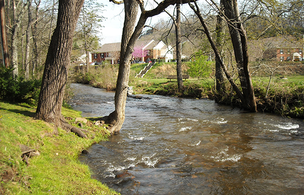 Cullowhee Creek