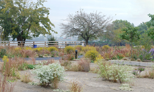 Washington Avenue Green