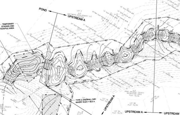 Detail of restoration plan