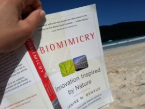 book on beach