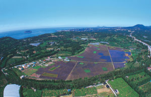 Hanon Crater currently being used for agriculture