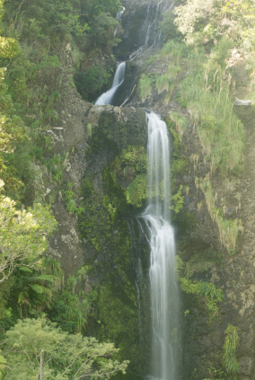 SONY DSC