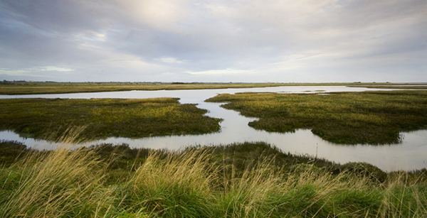 Essex estuary