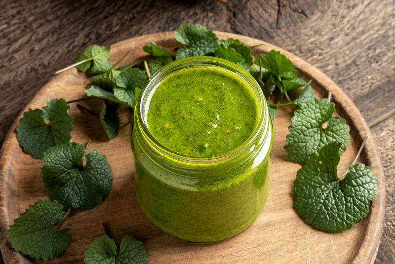 Pesto made with garlic mustard <em>(Alliaria petiolata)<em>