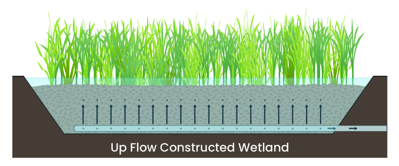 up flow constructed wetland graphic created by Biohabitats
