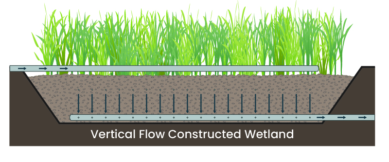 Surface flow constructed wetland graphic created by Biohabitats