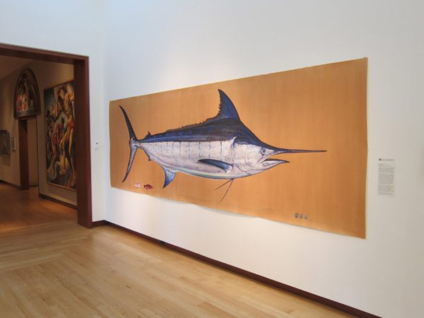 Biohabitats » BlueMarlin