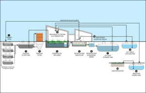 Cross section of natural wastewater treatment/reuse system