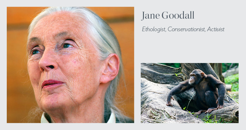 Jane Goodall