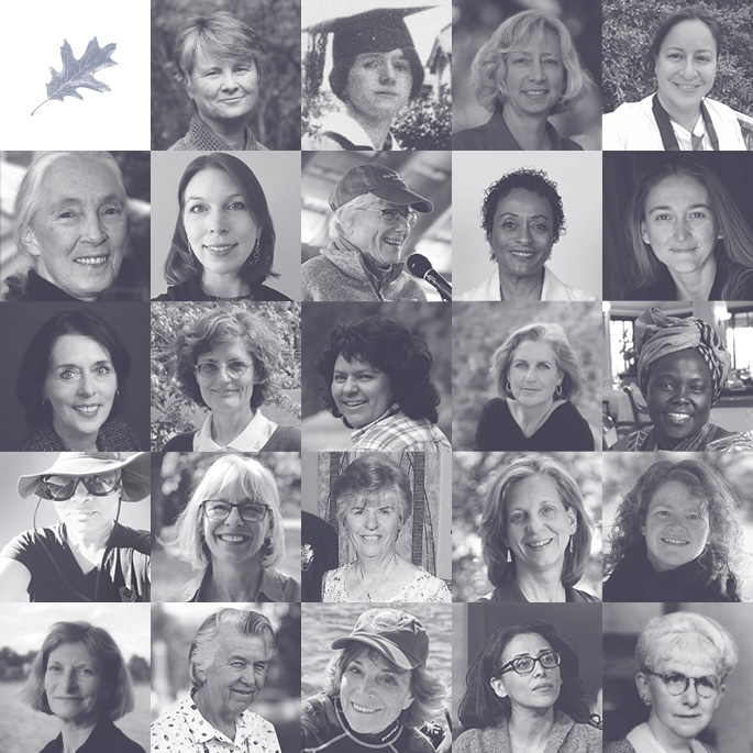 Biohabitats » Nicole Hernandez Hammer