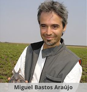 Miguel Bastos Araujo