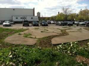Reintegrating urban ecology: dendridic decay garden at former urban industrial site